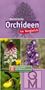 Heimische Orchideen, Buch