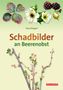 Klaus Margraf: Schadbilder an Beerenobst, Buch