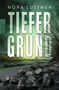 Nora Luttmer: Tiefergrund, Buch