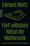 Edmund Weitz: Fünf unlösbare Rätsel der Mathematik, Buch