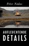 Péter Nádas: Aufleuchtende Details, Buch