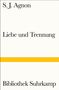Samuel Joseph Agnon: Liebe und Trennung, Buch, Buch