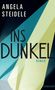 Angela Steidele: Ins Dunkel, Buch