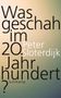 Peter Sloterdijk: Was geschah im 20. Jahrhundert?, Buch