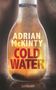 Adrian McKinty: Cold Water, Buch