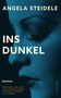 "Angela Steidele - Ins Dunkel" und "ROMAN" in großen Buchstaben. Nahaufnahme eines geschlossenen Auges in Blautönen., Buch