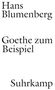 Hans Blumenberg: Goethe zum Beispiel, Buch