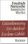 Friedrich Nietzsche: Götzendämmerung. Wagner-Schriften. Der Antichrist. Ecce Homo. Gedichte, Buch