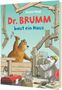 Daniel Napp: Dr. Brumm: Dr. Brumm baut ein Haus, Buch