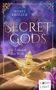 Isabel Kritzer: Secret Gods 2: Die Zukunft der Welt, Buch