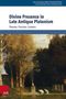 Divine Presence in Late Antique Platonism, Buch, Buch