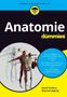 David Terfera: Anatomie für Dummies, Buch, Buch