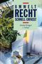 Detlef Kröger: Umweltrecht. Schnell erfasst, Buch