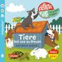Titel "Tiere bei uns zu Hause", autorisiert von Kathrin Wessel. Illustration von Tieren umgeben von Haus und Zaun., Buch