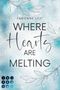 Fabienne Lily: Where Hearts Are Melting, Buch