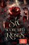 Carissa Broadbent: Six Scorched Roses (Crowns of Nyaxia), Buch