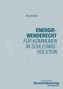 Jörg Bülow: Energiewenderecht für Kommunen in Schleswig-Holstein, Buch