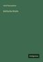 Adolf Bacmeister: Keltische Briefe, Buch