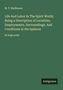 M. T. Shelhamer. Title: Life And Labor In The Spirit World... in large print. Unten steht "Antigonos". Grüner Hintergrund., Buch