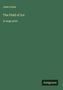 Jules Verne: The Field of Ice, Buch