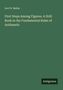 Titel: "First Steps Among Figures. A Drill Book in the Fundamental Rules of Arithmetic." Autor: Levi N. Beebe. Links oben. Unten rechts: Antigonos. Hintergrund grün.