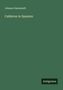 Johann Fastenrath: Calderon in Spanien, Buch