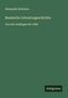 Alexander Brückner: Russische Literaturgeschichte, Buch