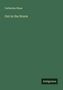 Catherine Shaw: Out in the Storm, Buch