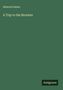 Heinrich Heine: A Trip to the Brocken, Buch