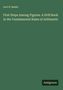 Titel: "First Steps Among Figures. A Drill Book in the Fundamental Rules of Arithmetic" von Levi N. Beebe. Grüner Hintergrund.
