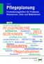 Christine Schwerdt: eBook inside: Buch und eBook Pflegeplanung, Buch, Buch