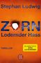 Stephan Ludwig: Zorn - Lodernder Hass, Buch