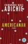 Chimamanda Ngozi Adichie: Americanah, Buch