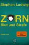 Stephan Ludwig: Zorn 8 - Blut und Strafe, Buch