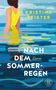 Kristina Pfister: Nach dem Sommerregen, Buch