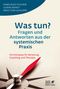 Hans Rudi Fischer: Was tun? Fragen und Antworten aus der systemischen Praxis, Buch