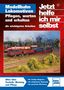 Ulrich Lieb: Modellbahn-Lokomotiven, Buch