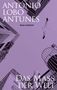 „António Lobo Antunes, Roman Luchterhand, Das Maß der Welt“. Gebäude und Möwe am Himmel, lila Farbtöne., Buch