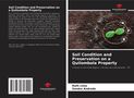 Ruth Lima: Soil Condition and Preservation on a Quilombola Property, Buch