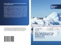 Chenyang Zhao: Free Trade Zone and Total Factor Productivity in the Epidemic Era, Buch