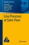 Jean Bertoin: Lévy Processes at Saint-Flour, Buch