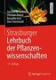 Joachim W. Kadereit: Strasburger - Lehrbuch der Pflanzenwissenschaften, Buch