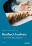 Dirk Schulz: Handbuch Insolvenz, Buch