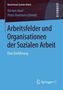 Peter Hammerschmidt: Arbeitsfelder und Organisationen der Sozialen Arbeit, Buch
