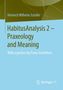 Heinrich Wilhelm Schäfer: HabitusAnalysis 2 - Praxeology and Meaning, Buch