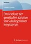 Ludmila Lysenko: Enträtselung der genetischen Variation von Subulicystidium longisporum, Buch