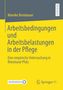 Mareike Breinbauer: Arbeitsbedingungen und Arbeitsbelastungen in der Pflege, Buch