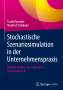 Frank Romeike: Stochastische Szenariosimulation in der Unternehmenspraxis, Buch