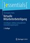 Christopher Hahn: Virtuelle Mitarbeiterbeteiligung, Buch