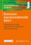 Georg Schlüchtermann: Basiswissen Ingenieurmathematik Band 4, Buch